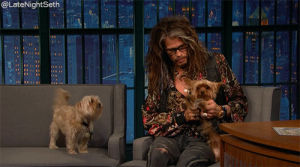 yorkie,steven tyler,nbc,dogs,late night with seth meyers