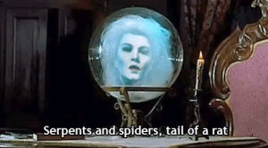crystal ball,leota,disney,halloween,witch,disneyland,haunted mansion
