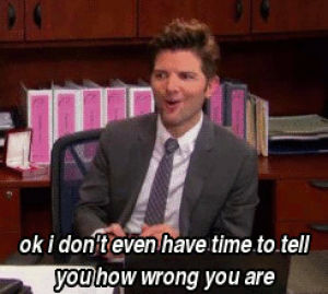 ben wyatt,parks and recreation,parks and rec,pnr,article two