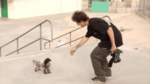 skateboarding,shake junt,dogs,murdy