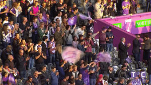 sports,soccer,fans,clapping,applause,clap,ligue 1,stand,stadium,tfc,toulouse fc,supporters,standing ovation