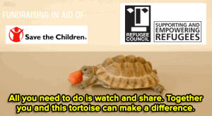 youtube,mic,alan rickman,turtle,charity,refugees,tortoise,rip alan rickman,refugee crisis,one click giving,tortoise eating