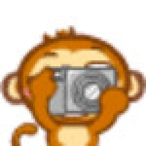 monkey,camera,snapshot