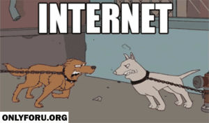 internet,reality,vs