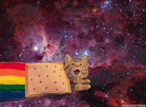 cats in space,space cat,cat,nyan cat,real,flying cat