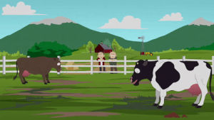 cow,mountains,farm,cows