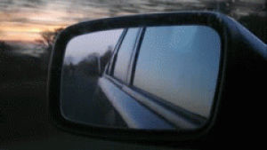 driving,travel,car,sunset,tree,trees,winter,ride,journey,wing mirror