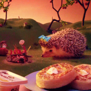 hedgehog,cute animal,movies,cute,costume,cute hedgehog