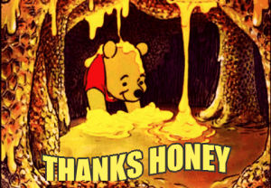 thank you,winnie the pooh,thanks,honey,thanks honey