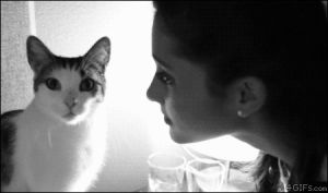 rejected,cat,kiss,ariana grande