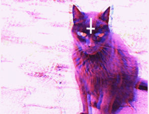 satanic cat,cat,hipster,hipster cat,anti christ