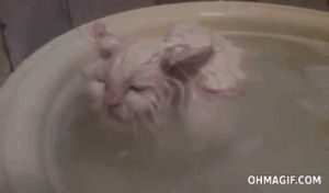 warm,tub,funny,love,cat,cute,animals,water,bath,wet,likes