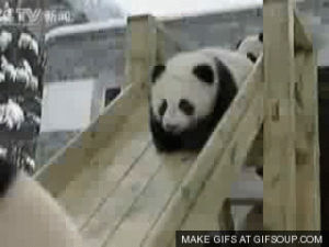 panda,slide