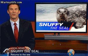 seal,snuffy