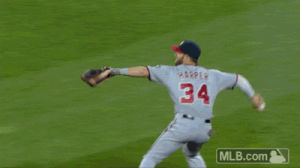 GIF detroit tigers max scherzer erik righetti - animated GIF on GIFER