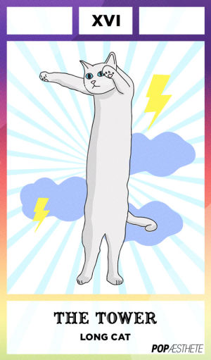 tarot,long cat,design,meme,pop aesthete,internet cat,cat tarot,art,billy wilder