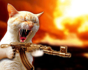 gun,ak47,cat,thug
