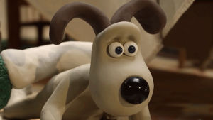 eye roll,wallace and gromit,gromit,head shake,oh no,aardman,oh dear,nick park