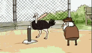 t ball,regular show,old man,baseball,ostrich,cartoons comics