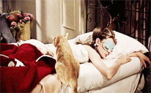 relaxed,audrey hepburn,cat,animals,pawing