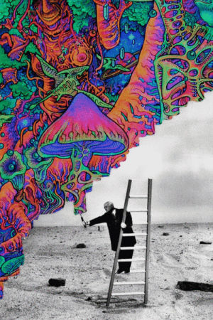 lsd,down,trippy,painter,psychedelic,shrooms,salvia,facebook,acid,surreal,psychedelic art
