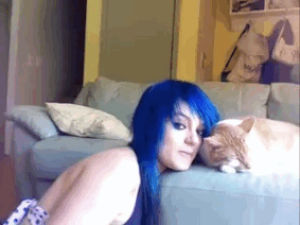 blue hair,kitty,colored hair,cat,girl,blue,colorful hair,dark blue hair