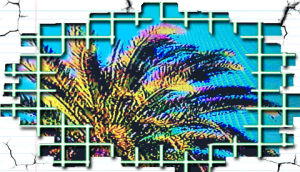 paradise,transparent,glitch,artist on tumblr,palm tree