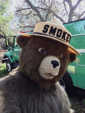 smokey bear,animal,wildfire,bear,selfie,smokey