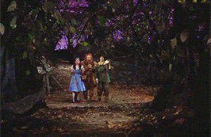 wizard of oz,scarecrow,gale,dorothy,tin man,cowardly lion,toto,spooks,forbidden forest