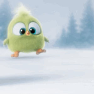cute,angry birds,fall,angrybirds,hatchlings,trip,adorable,faceplant,angry birds movie,wipeout,wpieout