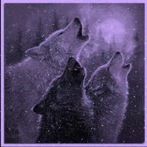 wolfs,on the moon