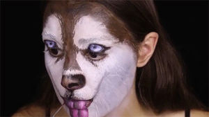 dog,video,dogs,amazing,makeup,tutorial,siz,make up,husky,tutorials,incredible