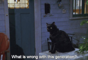 salem,generation,sabrina the teenage witch,cat,text,what is wrong