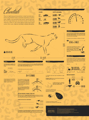 loop,science,technology,visual,september,infographics