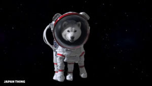 japan,dogs,astronaut,commercials,outer space,inu,softbank
