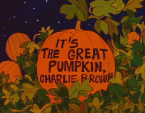 its the great pumpkin charlie brown,pumpkin,pumpkins,charlie brown,halloween,food52,food 52,pumpkin recipes