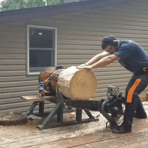 saw,log,chainsaw