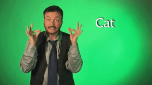 sign with robert,sign language,cat,deaf,american sign language,swr