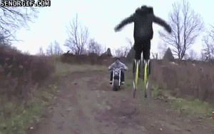 sports,fail,jumping,ouch,motorcycle,pogo,tvtds
