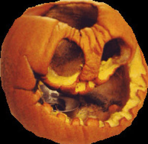 pumpkin,halloween,troll,afd,fall1