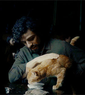 TÉLÉCHARGER INSIDE LLEWYN DAVIS GRATUIT INSIDE DAVIS GRATUIT LLEWYN TÉLÉCHARGER