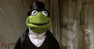 kermit,kermit the frog,muppets,caco,funny,frog