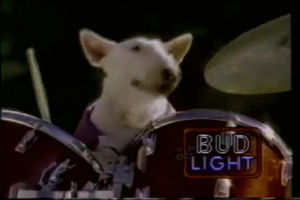 drumming,dog,drums