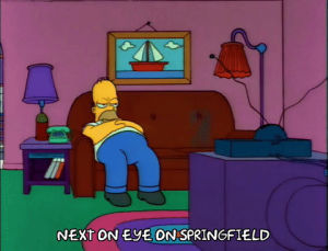 tv,season 3,homer simpson,episode 10,mad,bored,lazy,3x10,living room,couch potato