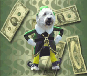 money,dog,dancing,weird