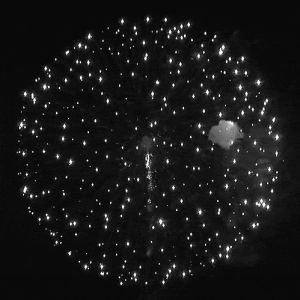fireworks,happy new year,beautiful,2013,black and white