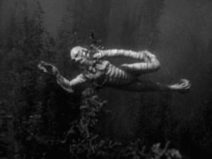 creature,swimming,movies,black and white,monster,lake,scary movie,lagoon