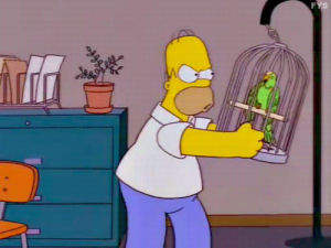 reaction,homer simpson,season 9,angry,simpsons,homer,signs,parrot,trash of the titans,ray patterson
