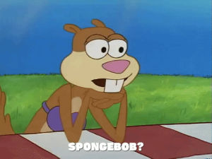 season 1,spongebob squarepants,episode 1