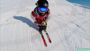 Back flip GIF - Find on GIFER